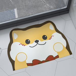 Irregular shaped diatomaceous earth mat for bathroom use