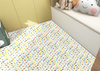 Anti pollution pet floor mat suitable for offices and bedrooms
