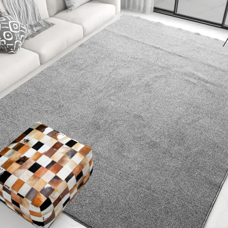 Large Area Carpet Suitable for The Living Room Bedroom Soft Carpet, Girls And Boys Can Be Washed Fluffy Carpet, Non-slip Long Velvet Kindergarten Carpet, Suitable for Infants And Toddlers Children's R