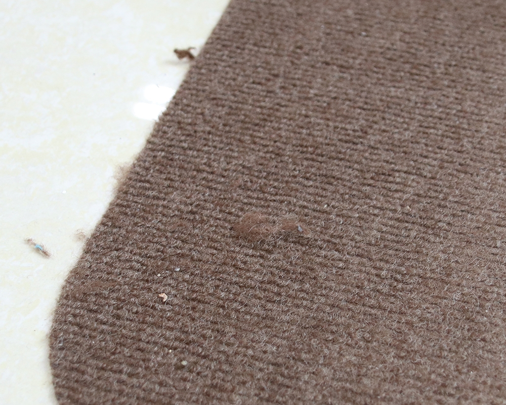 Traditional chair cushion