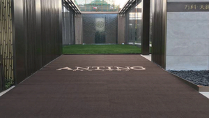 Customizable LOGO Cut Velvet Carpet, PVC Anti Slip Bottom Back, Business Office Fully Covered Carpet