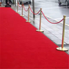 Red Carpet Runner for Events, Not Slip Red Aisle Runway Rug for Party Wedding & Special Events Decorations