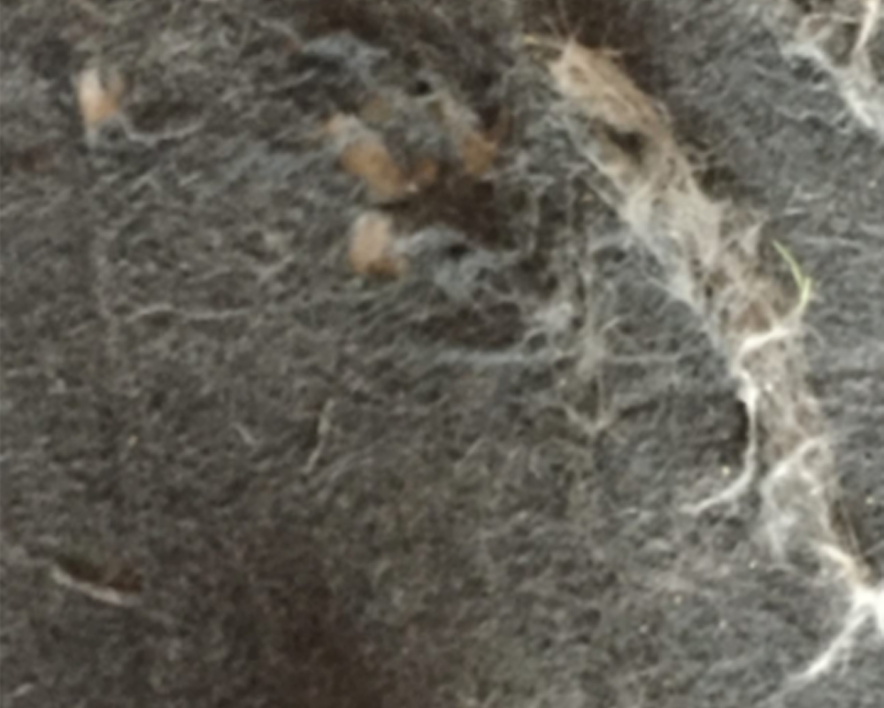 Traditional chair pad surface