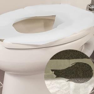 Display of ordinary toilet seat cushions