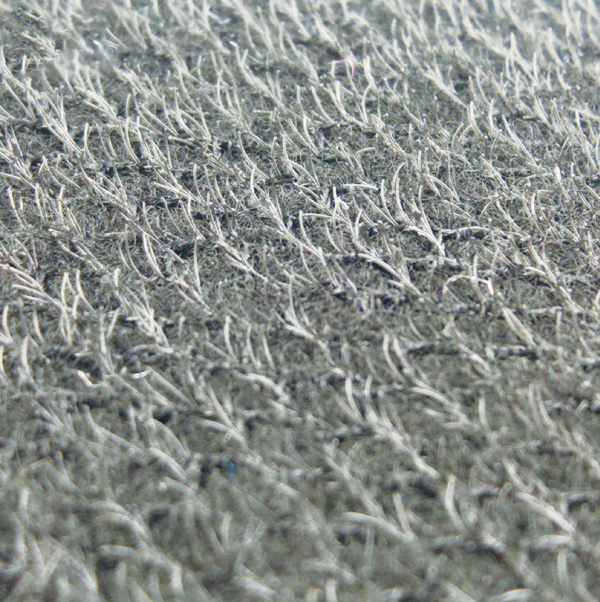 Gecko's paw backing(1).jpg